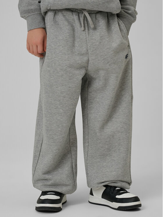 4F 4F Spodnie dresowe CAMPUS VIBES Szary jasny Loose Fit
