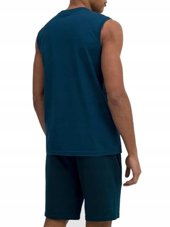 4F 4F T-Shirt 4FSS23TSLEM016-32S Niebieski Standard Fit