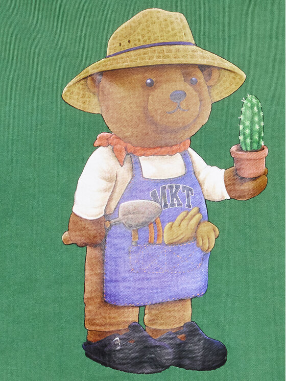 Felpa Botanical Bear 397000479 Verde Regular Fit