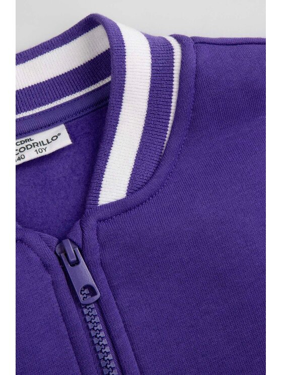Coccodrillo Coccodrillo Bluza ZC5132601VGA-016 Fioletowy Regular Fit