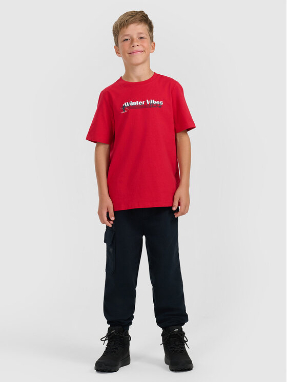 4F 4F Spodnie dresowe APRES SKI Granatowy Regular Fit