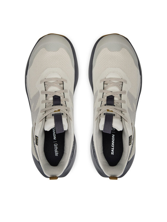 Salomon Salomon Pārgājienu apavi Elixir Activ Gore-Tex L47691600 Pelēks