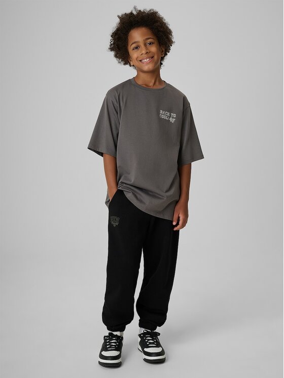 4F 4F T-Shirt 4FJRAW26TTSHM4529-25S Šedá Regular Fit