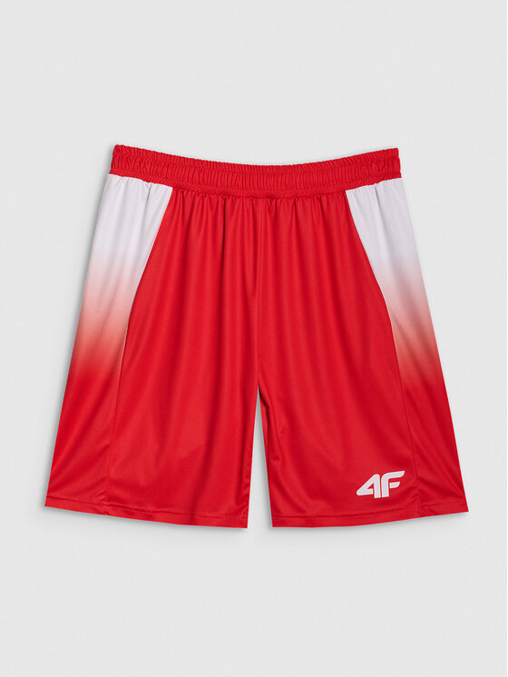 4F 4F Szorty sportowe TEAMWEAR Kolorowy Regular Fit