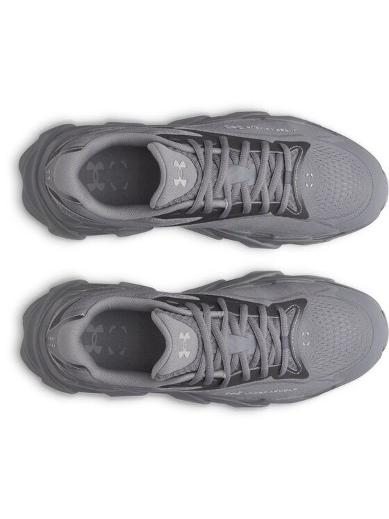 Under Armour Under Armour Buty do biegania 6010212 Szary