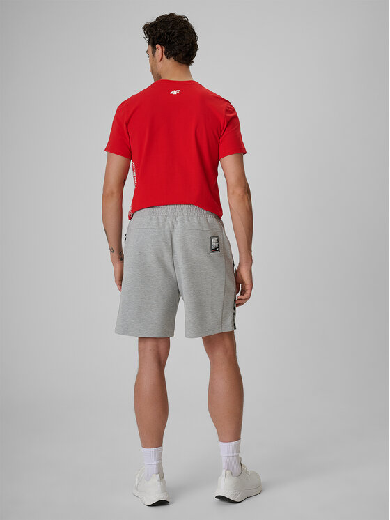 4F 4F Szorty sportowe STREFA KIBICA Szary jasny Regular Fit