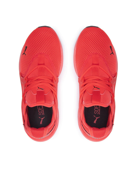 Puma Puma Sneakersy Softride Enzo Evo 377048 02 Czerwony