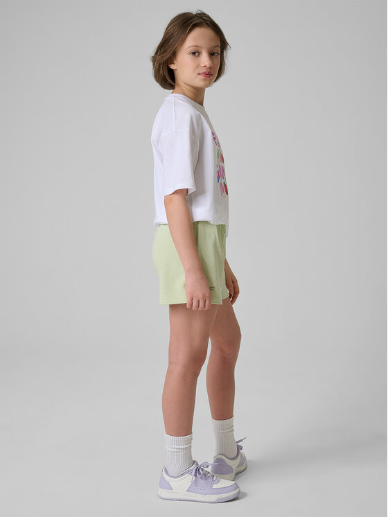 4F 4F Szorty sportowe JELLIFICATION Turkusowy Regular Fit