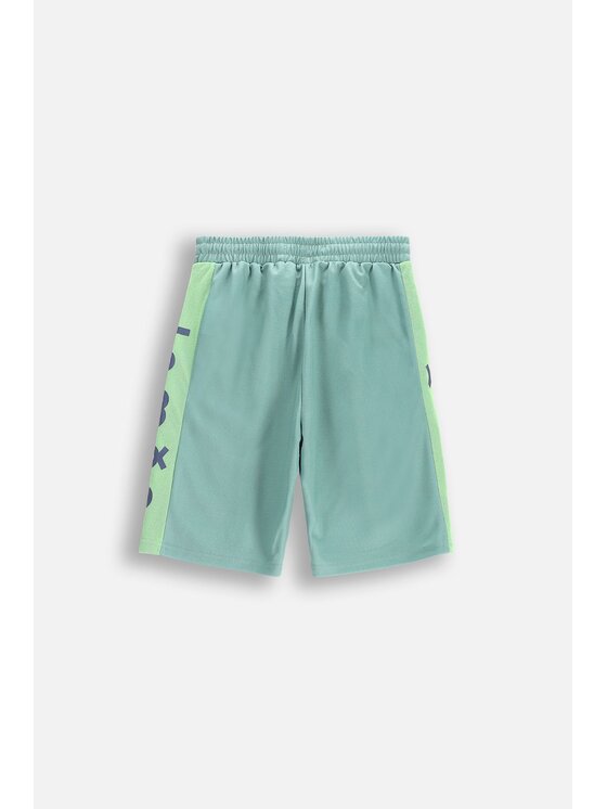 Lemon Explore Lemon Explore Szorty WL5120502ACB-012 Zielony Regular Fit