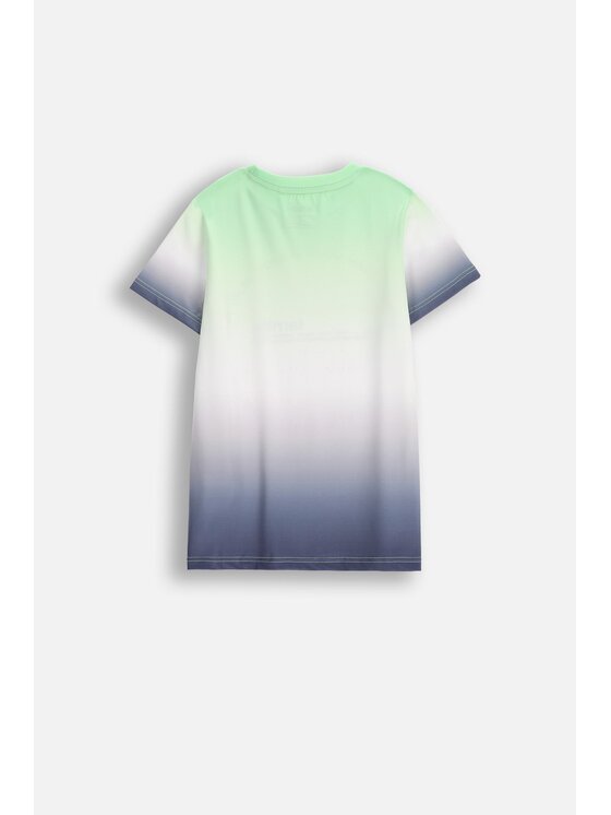 Lemon Explore Lemon Explore T-Shirt WL5143203ACB-022 Kolorowy Regular Fit