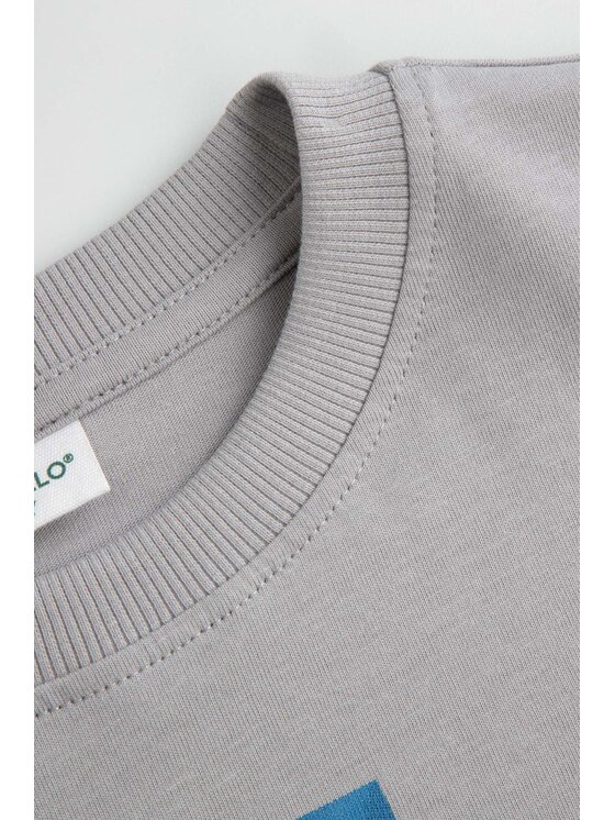 Coccodrillo Coccodrillo S dlhými rukávmi ZC6143103WBJ-019 Sivá Regular Fit