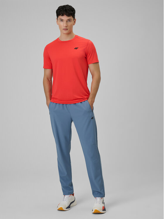 4F 4F Spodnie dresowe MULTI ACTIVE Regular Fit