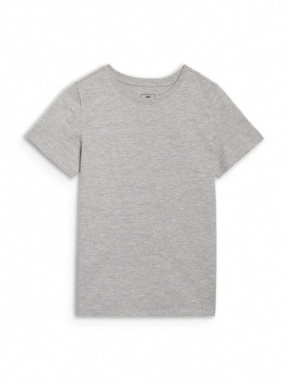 4F 4F T-Shirt BASIC+ Szary Regular Fit