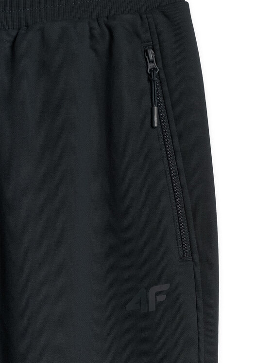 4F 4F Spodnie dresowe NOS Granatowy Regular Fit