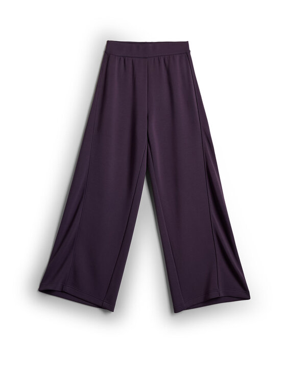 4F 4F Spodnie dresowe ESSENTIAL Fioletowy Regular Fit