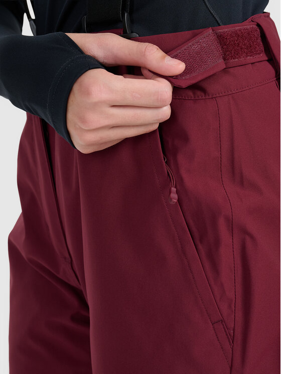 4F 4F Spodnie narciarskie SKIWEAR Bordowy Regular Fit