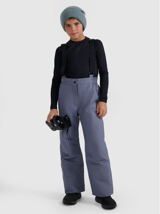 4F 4F Spodnie narciarskie BASIC SKI Szary Regular Fit