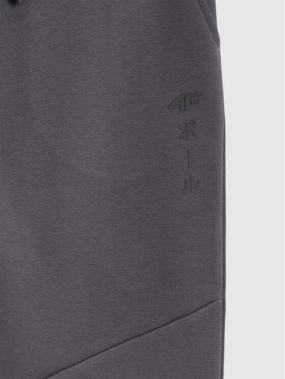 4F 4F Teplákové kalhoty CITY LINES Tmavě šedá Loose Fit