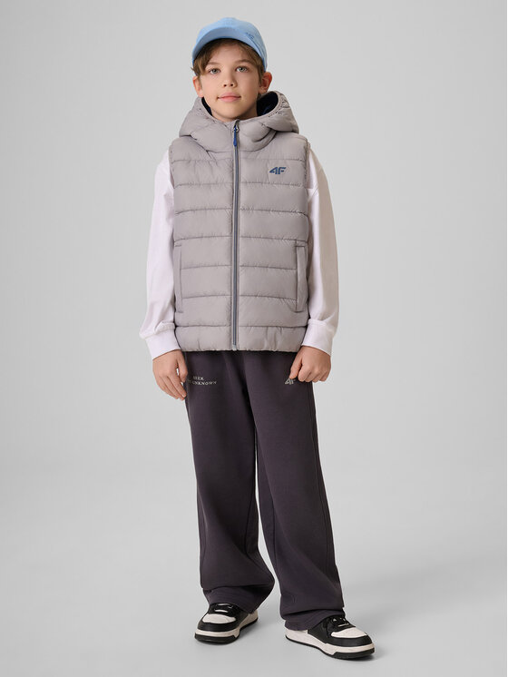 4F 4F Kamizelka OUTERWEAR Szary Regular Fit