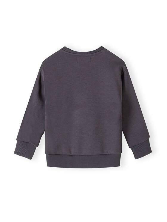 minoti minoti Bluza 33FLEECE200 Kolorowy Regular Fit