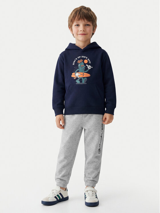 Quiksilver Quiksilver Spodnji del trenirke Graphics EQKFB03123 Siva Regular Fit