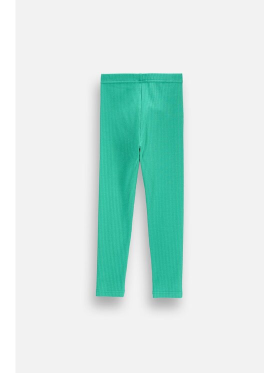 Coccodrillo Coccodrillo Legginsy ZC6122002AGK-011 Zielony