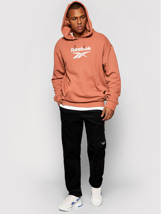 Reebok Sweatshirt Classics Foundation Vector GU3881 Marron