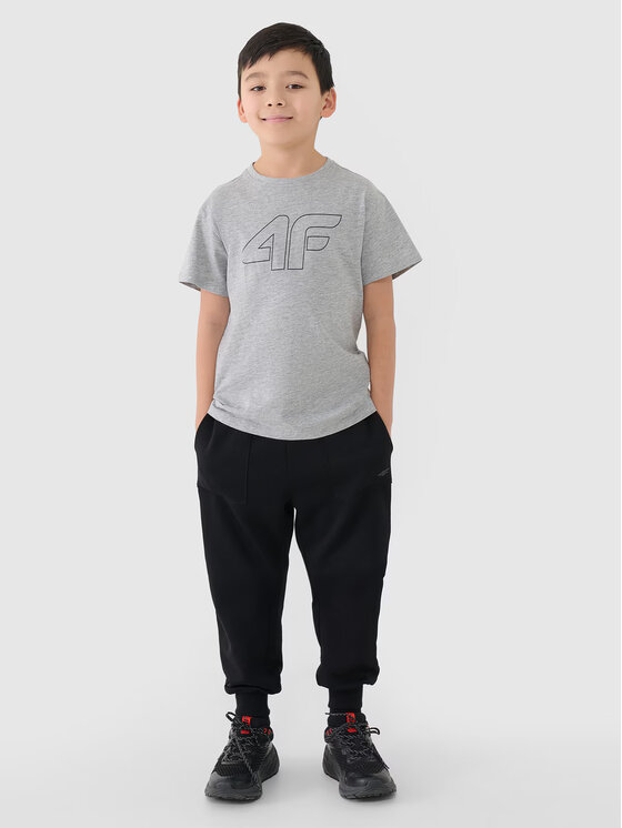 4F 4F T-Shirt 4FJWMM00TTSHM2331 Szary jasny Regular Fit