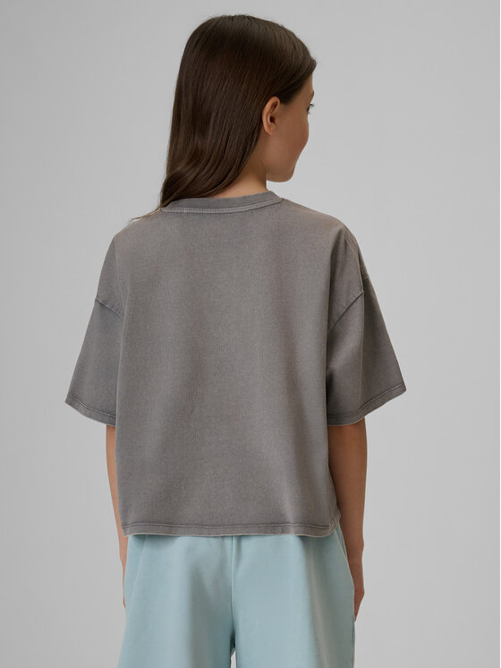 4F 4F T-Shirt SUMMER SPLASH Szary Loose Fit