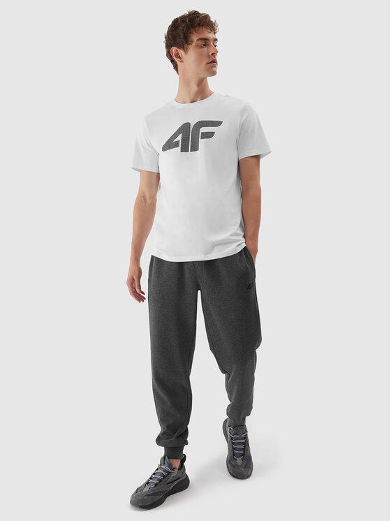 4F 4F Sportinės kelnės 4FAW23TTROM451 Pilka Regular Fit