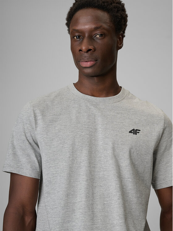 4F 4F T-Shirt NOS Szary jasny Regular Fit