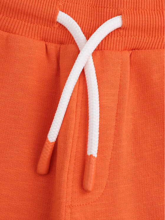 Coccodrillo Coccodrillo Szorty sportowe WC5120501HBK Pomarańczowy Regular Fit