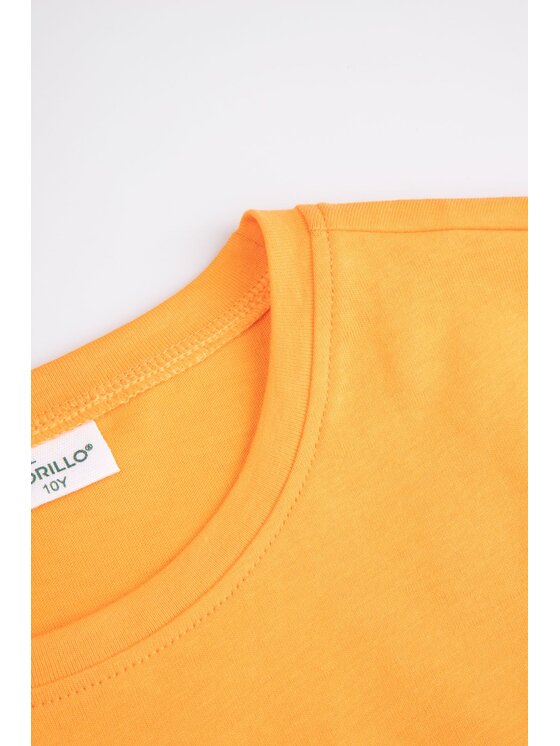 Coccodrillo Coccodrillo T-Shirt WC6143205JGJ-006 Pomarańczowy Regular Fit
