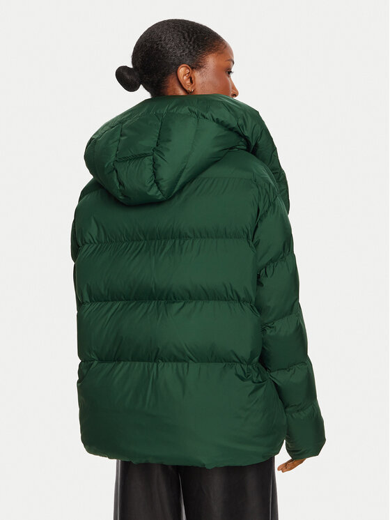 PINKO PINKO Winterjacke 101602 A2P6 Grün Regular Fit