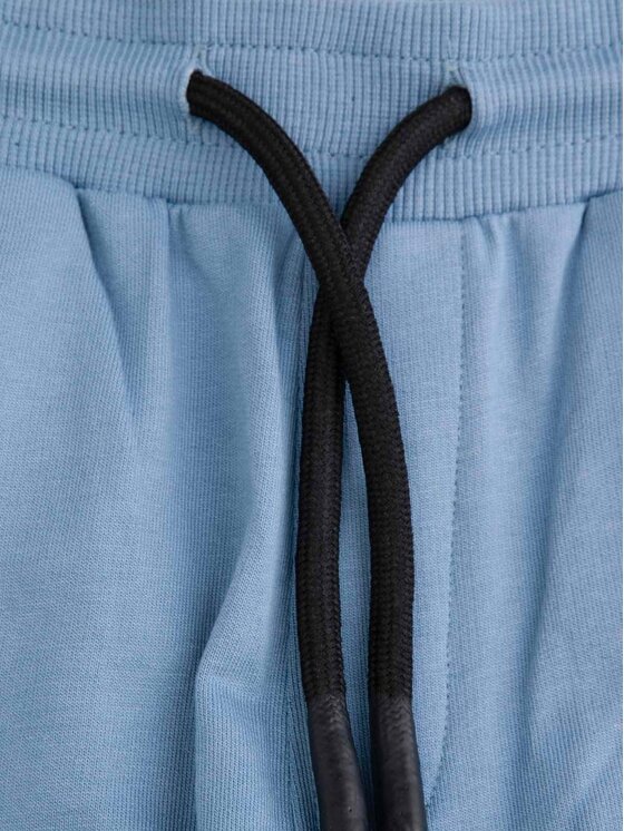 Coccodrillo Coccodrillo Sporta šorti WC5120501VBC Zils Regular Fit