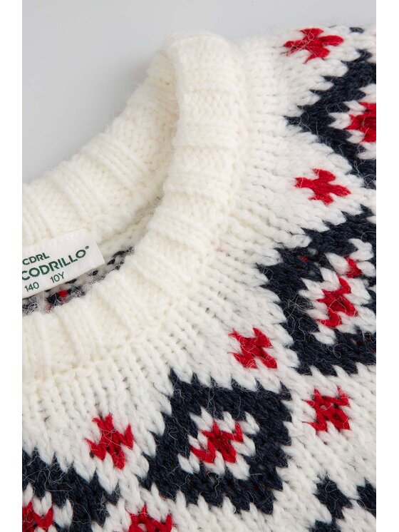 Coccodrillo Coccodrillo Sveter ZC5172102EJG-003 Écru Regular Fit