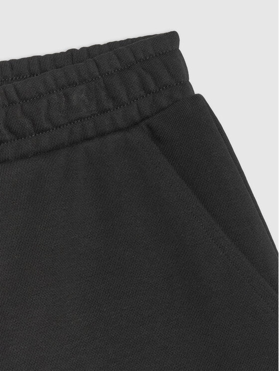 4F 4F Szorty sportowe ESSENTIAL 4 Czarny Regular Fit