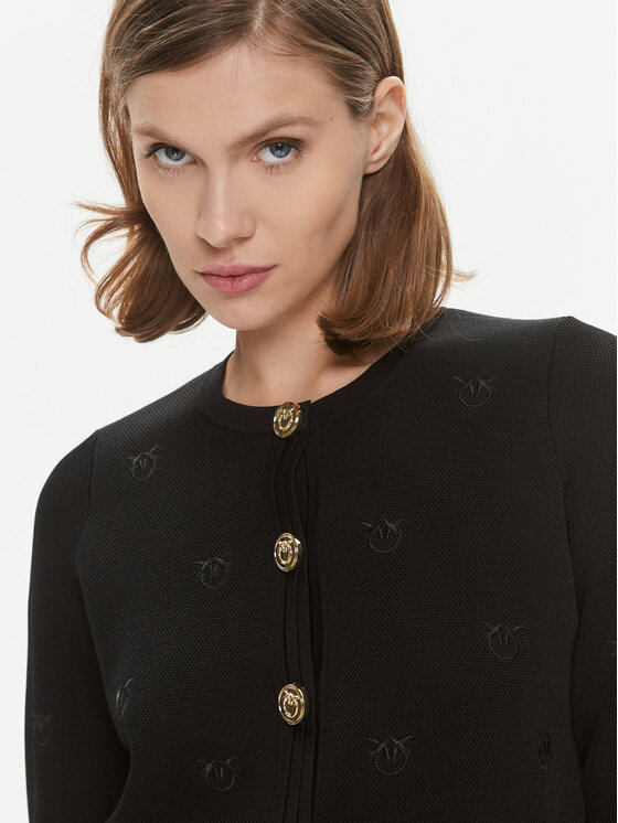 PINKO Pinko Kardigan Orca 101903 A16F Czarny Regular Fit