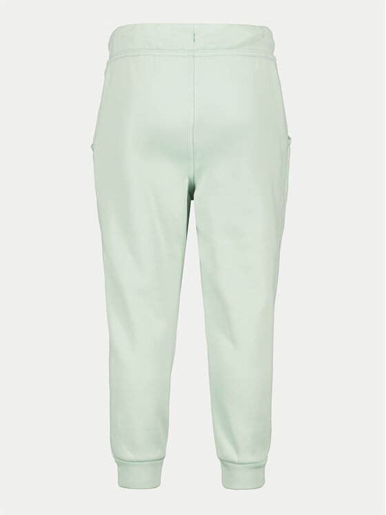 Didriksons Didriksons Спортивні штани Corin 505004 Зелений Regular Fit