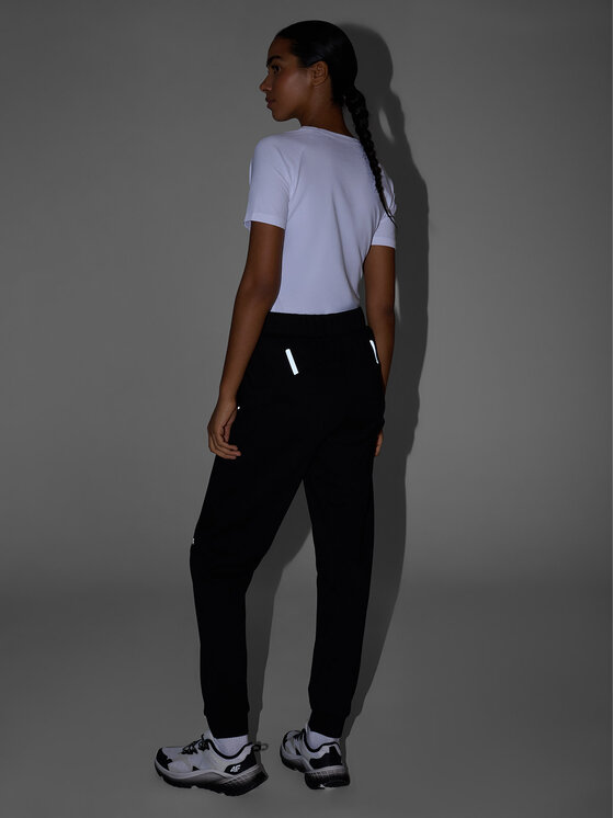 4F 4F Spodnie dresowe TREKKING Czarny Regular Fit