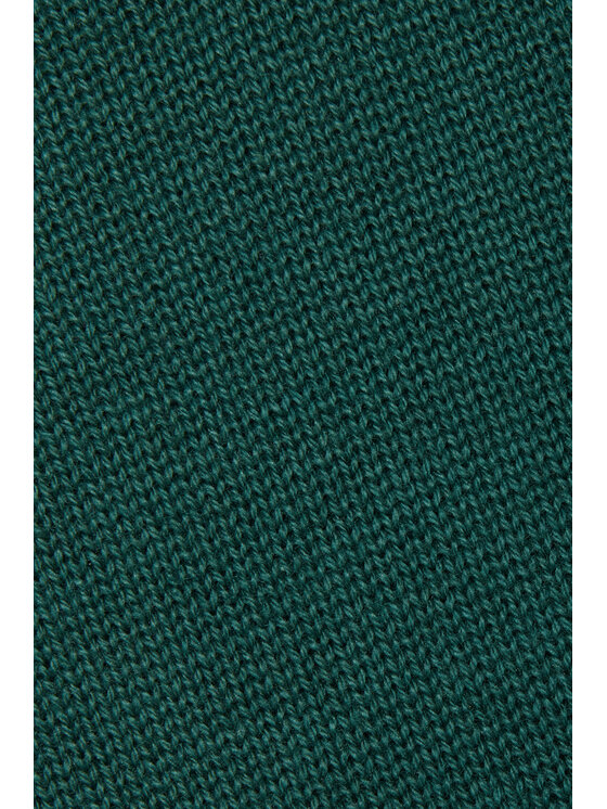 Próchnik Próchnik Sweter PM6 SW073223000118 Zielony Regular Fit