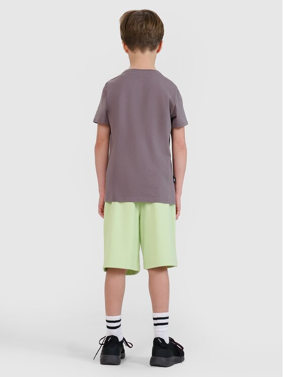 4F 4F Tričko 4FJRSS25TTSHM2643-23S Sivá Regular Fit