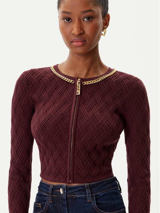 Elisabetta Franchi Elisabetta Franchi Kardigan MK-29B-56E2-V450 Bordowy Regular Fit