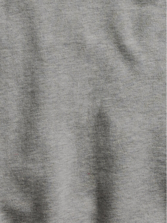 Polo Ralph Lauren Polo Ralph Lauren Mikina 710766772004 Sivá Regular Fit