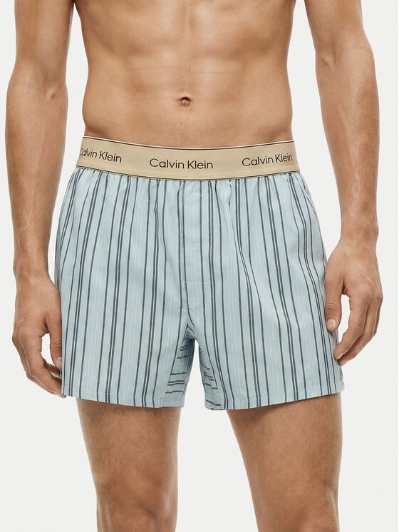 Calvin Klein Underwear Calvin Klein Underwear Bokserice LV00NM2945 Svijetloplava