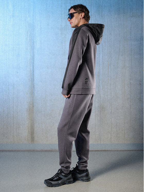 4F 4F Spodnie dresowe IN MOTION Szary Regular Fit