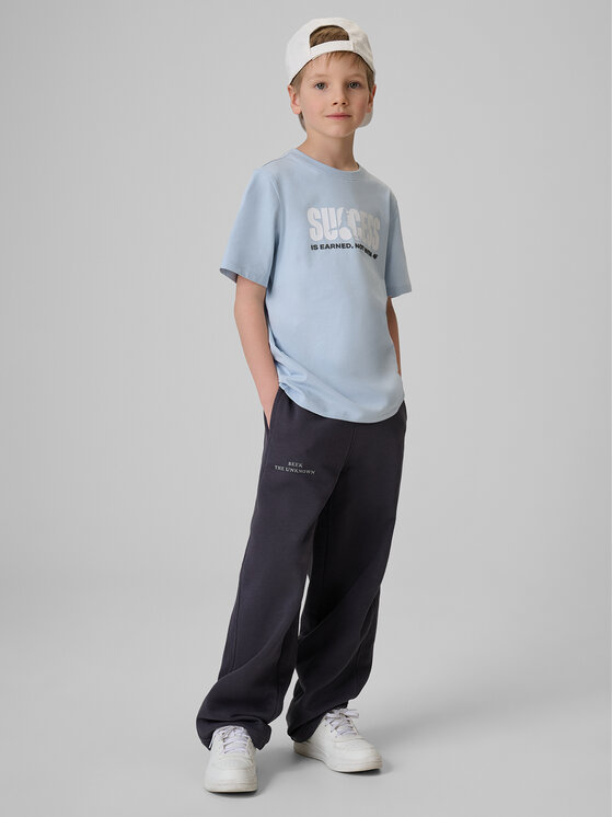 4F 4F T-Shirt PLAY SEASON Niebieski jasny Regular Fit