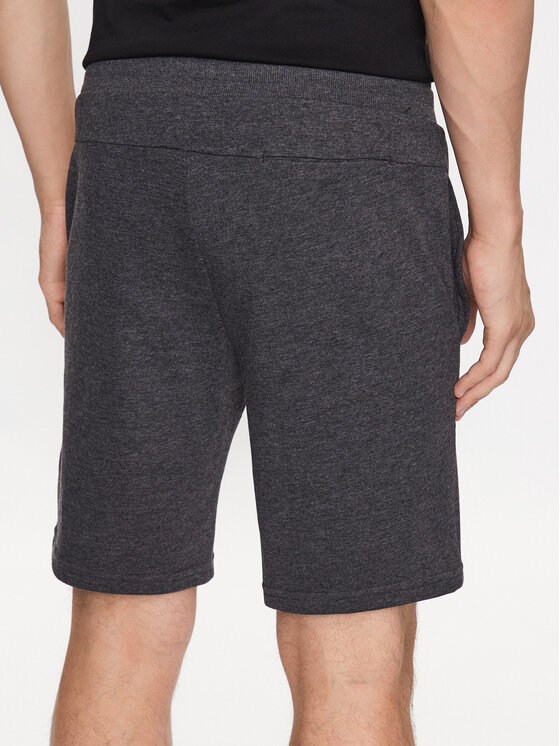 4F 4F Pantaloncini sportivi 4FSS23TSHOM156 Grigio Regular Fit