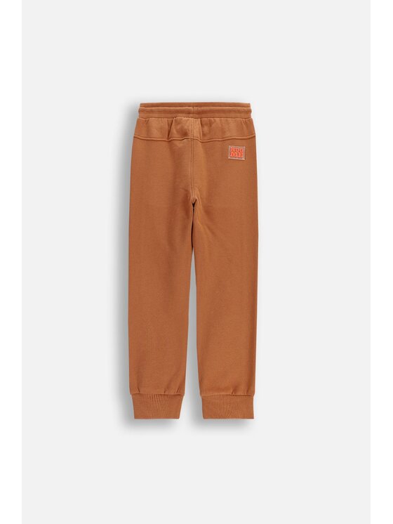 Coccodrillo Coccodrillo Teplákové kalhoty ZC5120101YBK-018 Hnědá Regular Fit