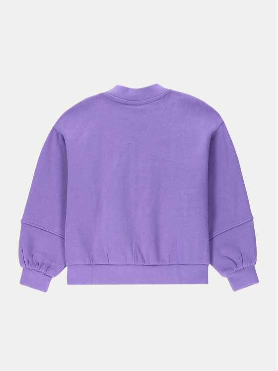 Coccodrillo Coccodrillo Sweatshirt ZC4132201AGK Violett Regular Fit